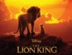 The Lion King 2019 เดอะ ไลอ้อน คิง