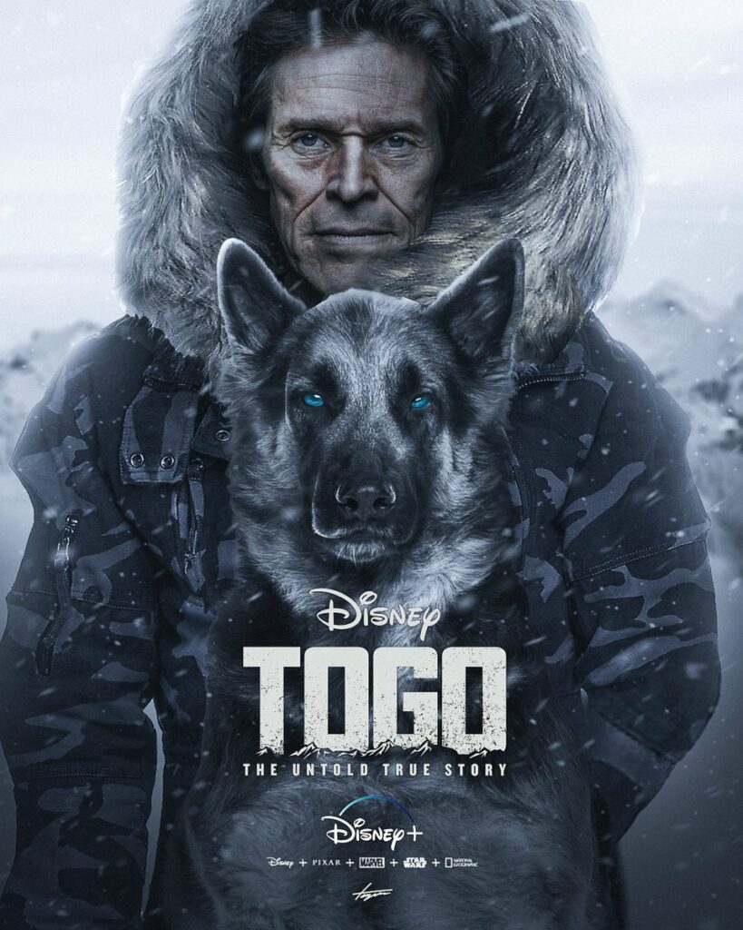 โตโก (2019) Togo