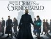 สัตว์มหัศจรรย์ อาชญากรรมของกรินเดลวัลด์ (2018) Fantastic Beasts The Crimes of Grindelwald